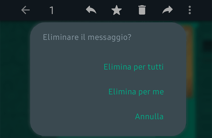 WhatsApp - schermata eliminazione messaggio (Android)