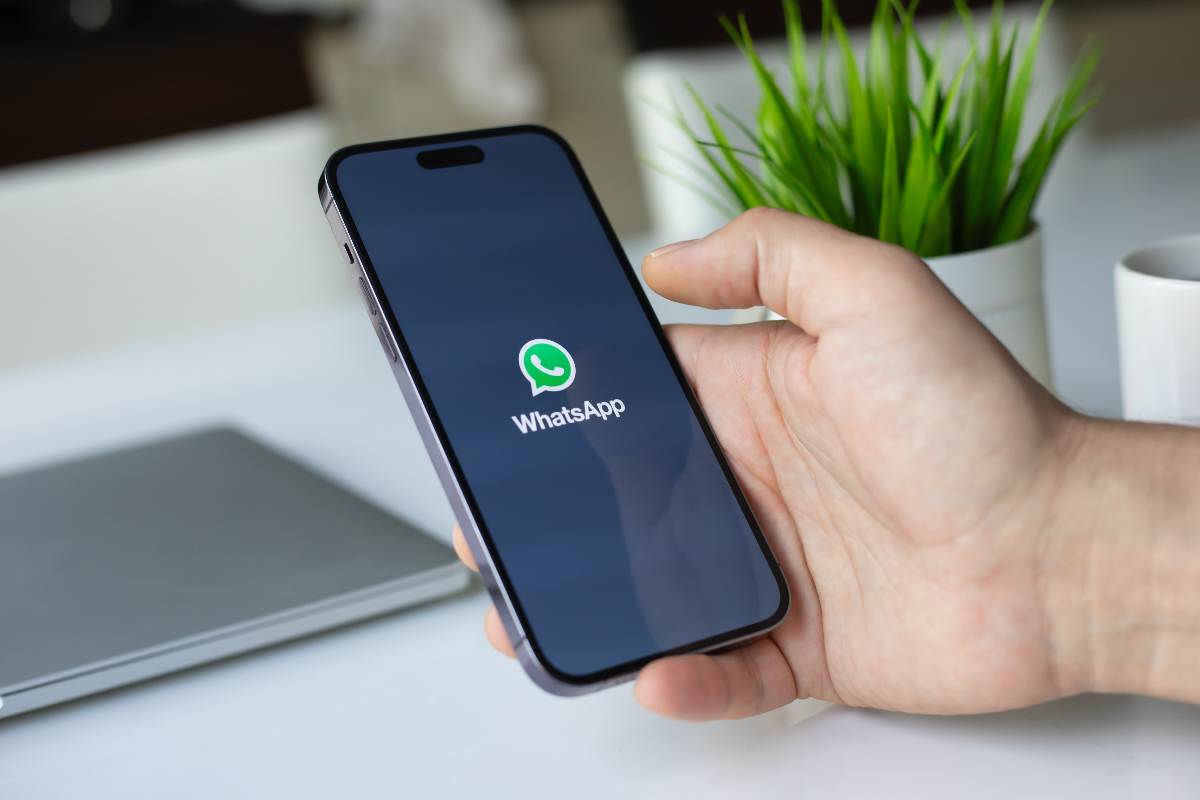 WhatsApp, puoi attivare una funzione molto utile per foto e video