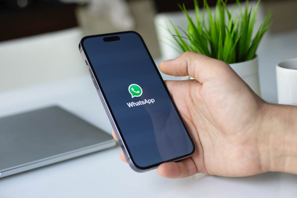 WhatsApp, le novità dell'ultimo aggiornamento: tanti cambiamenti