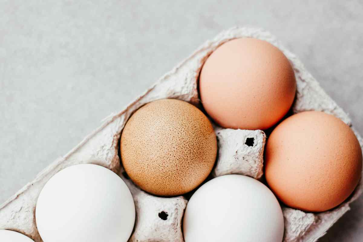 Uova bianche e marroni cosa cambia